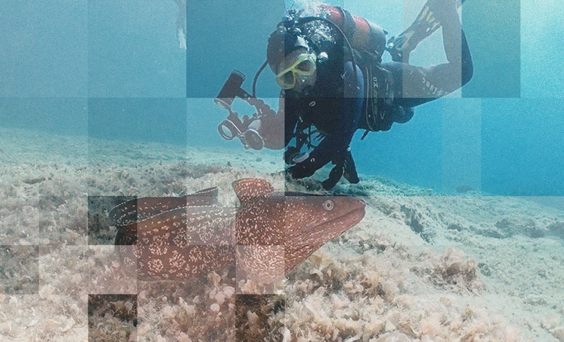 Su Altı Belgesel Yapım Süreçleri 